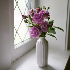 Rise Up Lilac Days™ Climbing Rose -Flowers Sales Store RosaRiseUpLilacDaysP1173972 800x800 2fcb2d6